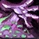 Official Warlock class icon